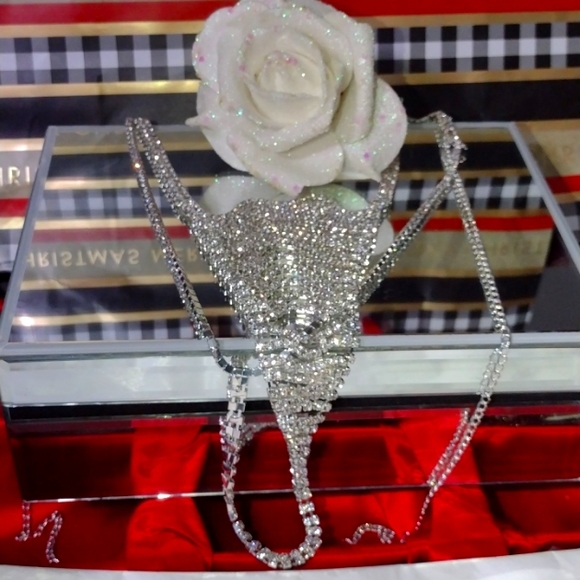 Hundreds of Swarovski Crystals Scintillate on this Bikini Bathing Adornment NWT - Picture 4 of 12